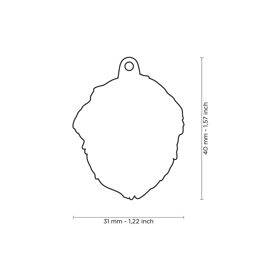 Myfamily Pyreneerhund IDtag