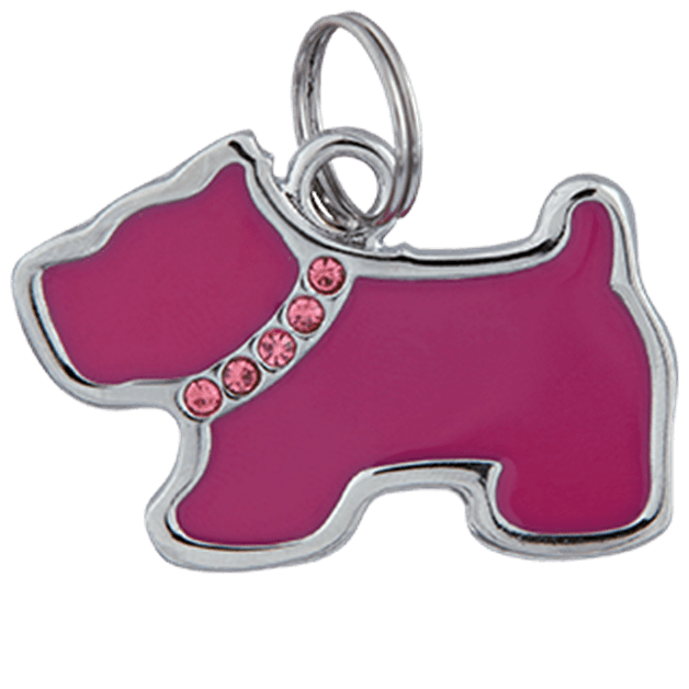 Hundesmykke_collagenidsokkervstar.kinsta.cloud