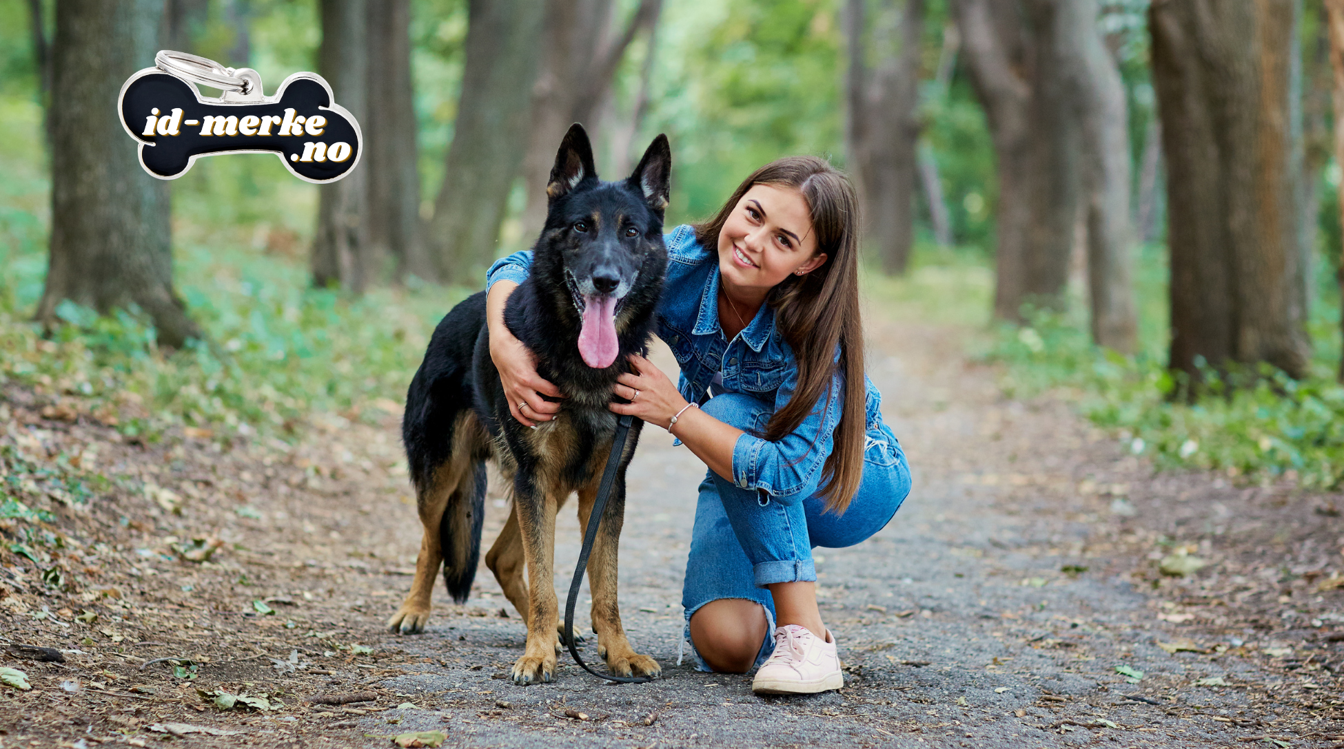 Er en gjeterhund riktig valg for deg