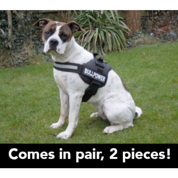 Label-merke Julius K9 small borrelås