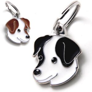 Myfamily Jack Russell terrier