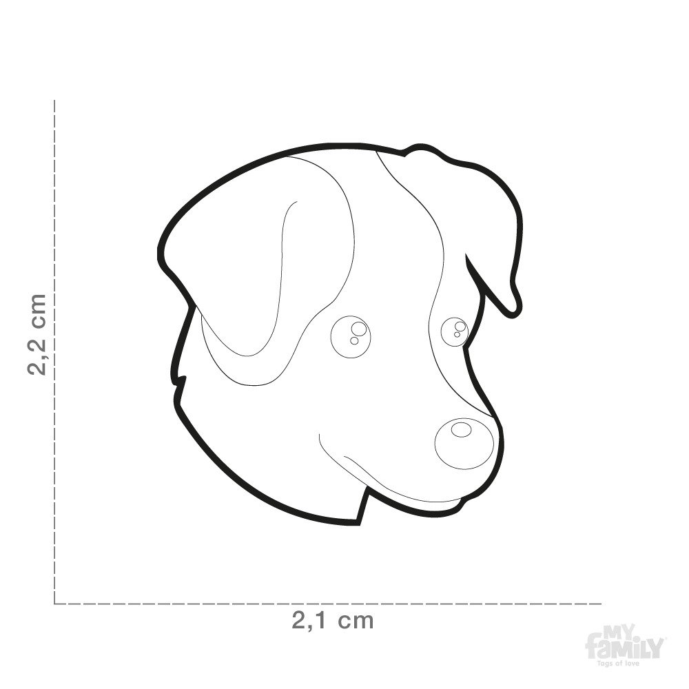 Myfamily Jack Russell terrier