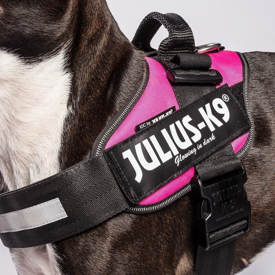 Label-merke Julius K9 small borrelås