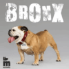 Myfamily Bronx bein Rhombus ID tag