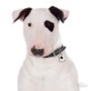 Myfamily Bull terrier IDtag