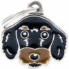 Myfamily Dachshund IDtag