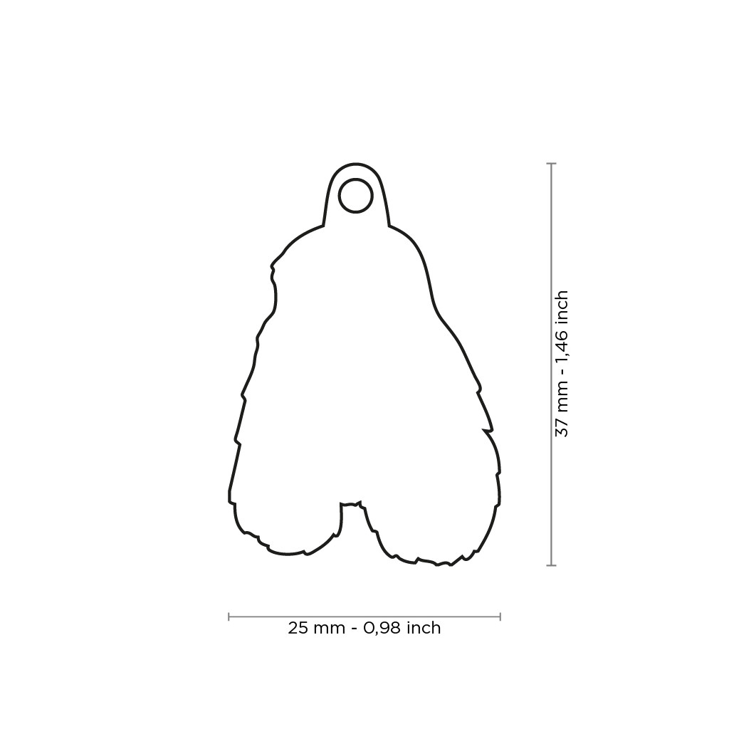 Myfamily Springer Spaniel IDtag