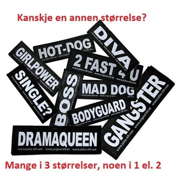 Label-merke Julius K9 Large borrelås