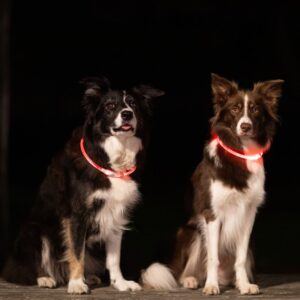 Trixie USB Flash lysring